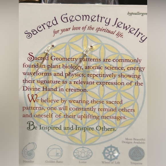 Sacred Geometry earrings- Torus vortex- Stainless steel- hypoallergenic Silver - Picture 4 of 5